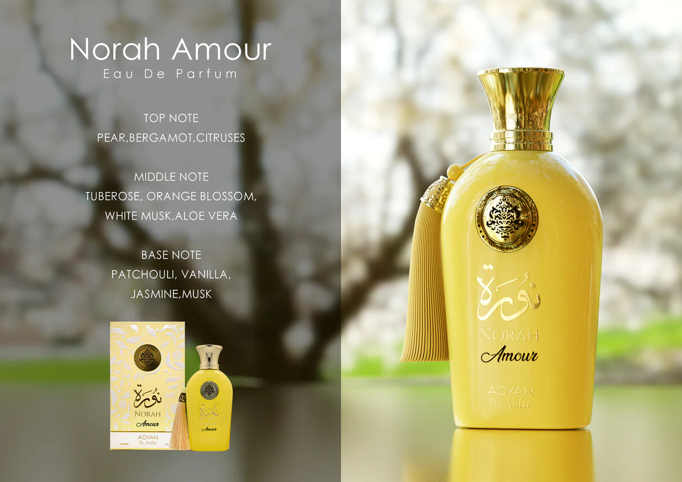 NORAH AMOUR
